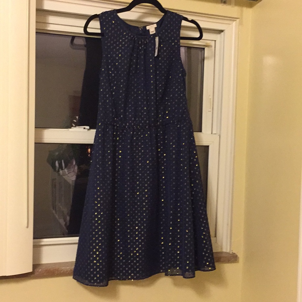 NWT - J Crew Navy and gold polka dot dress